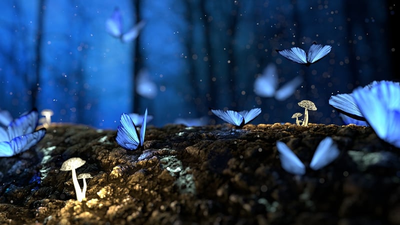Enchanted Gardens